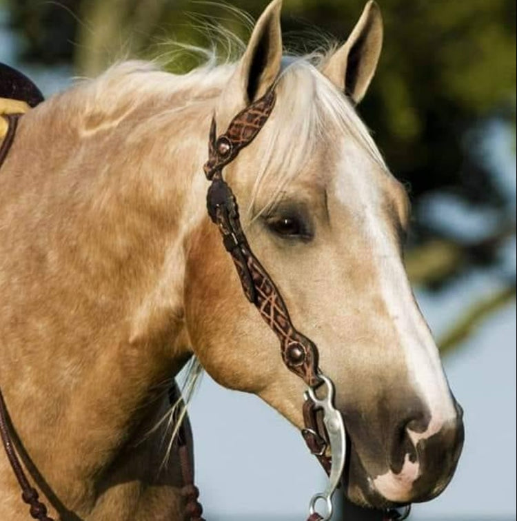 Headstalls