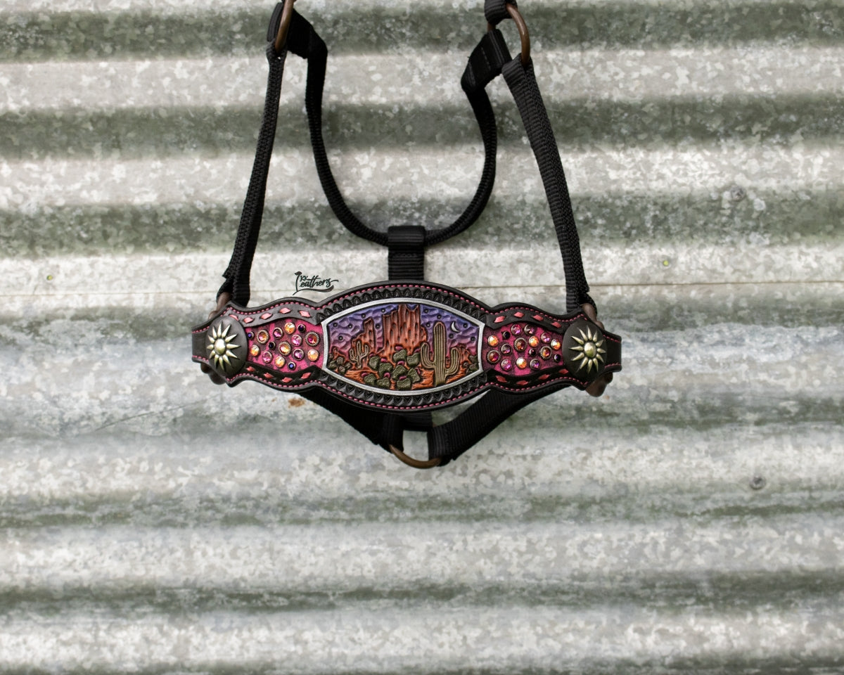 Sunset Desert Dweller Bronc Halter