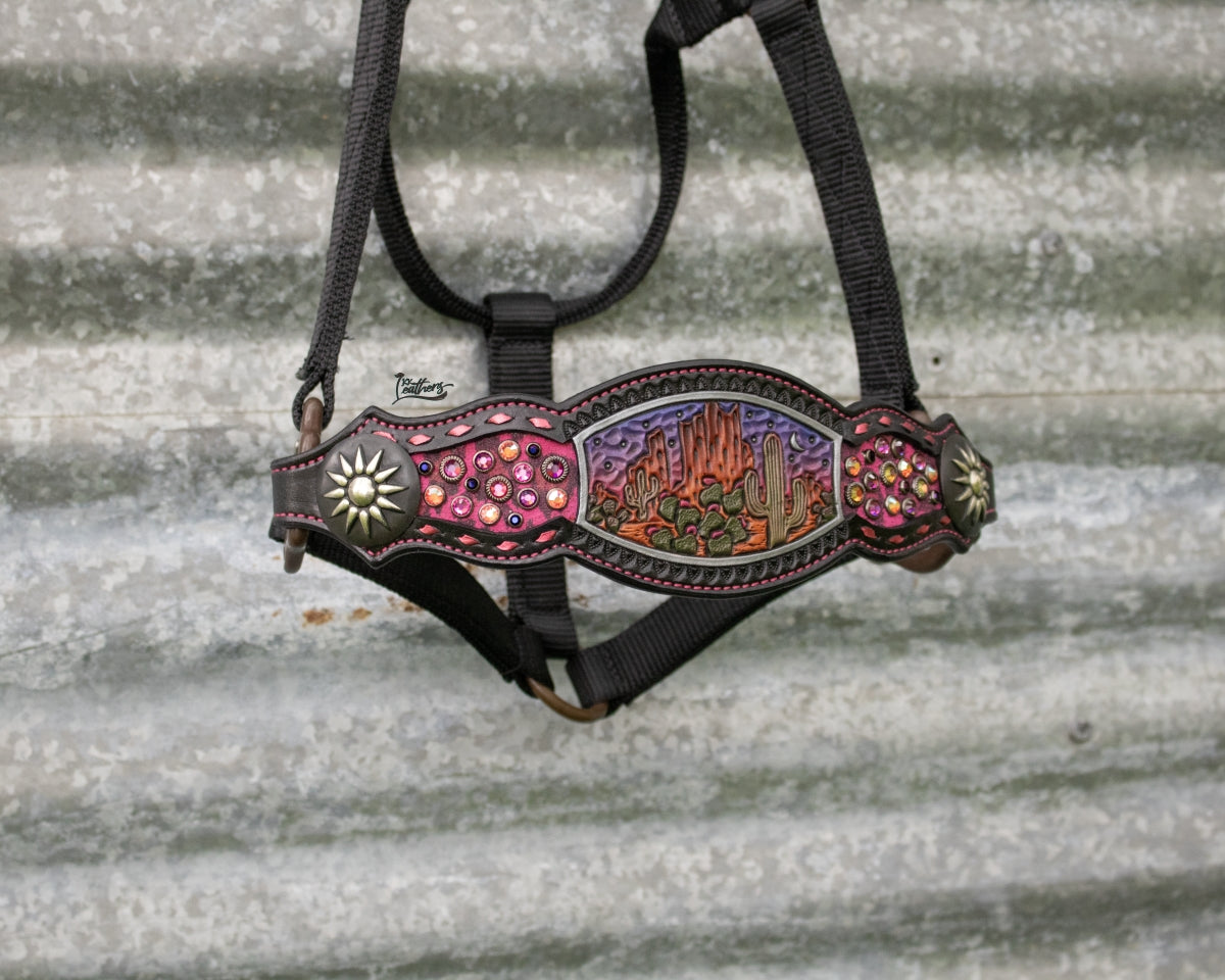 Sunset Desert Dweller Bronc Halter