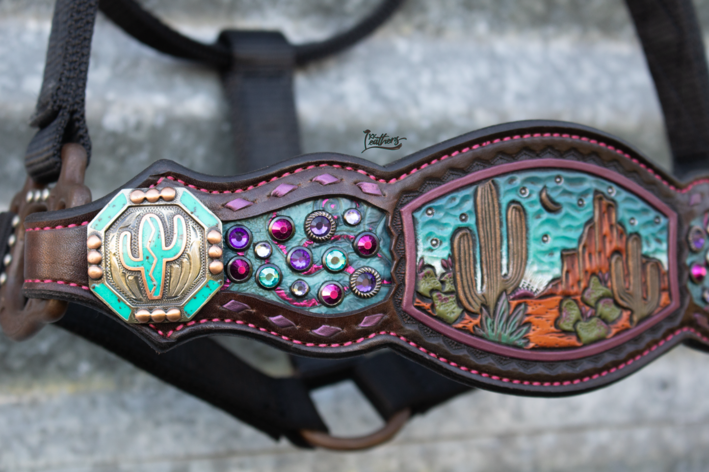 Turquoise and Purple Cactus Desert Bronc Halter