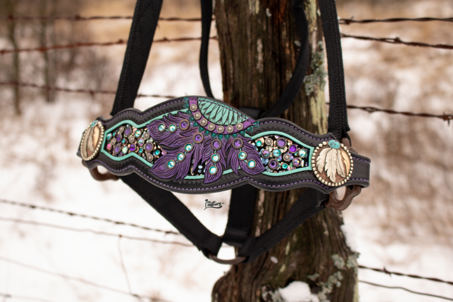 Turquoise and Purple Crystal Dream Catcher Bronc Halter