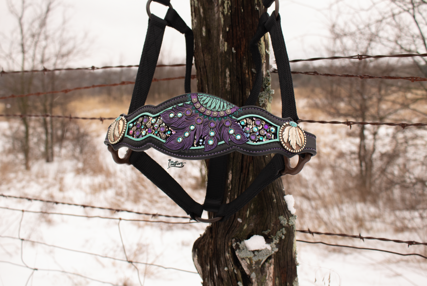 Turquoise and Purple Crystal Dream Catcher Bronc Halter
