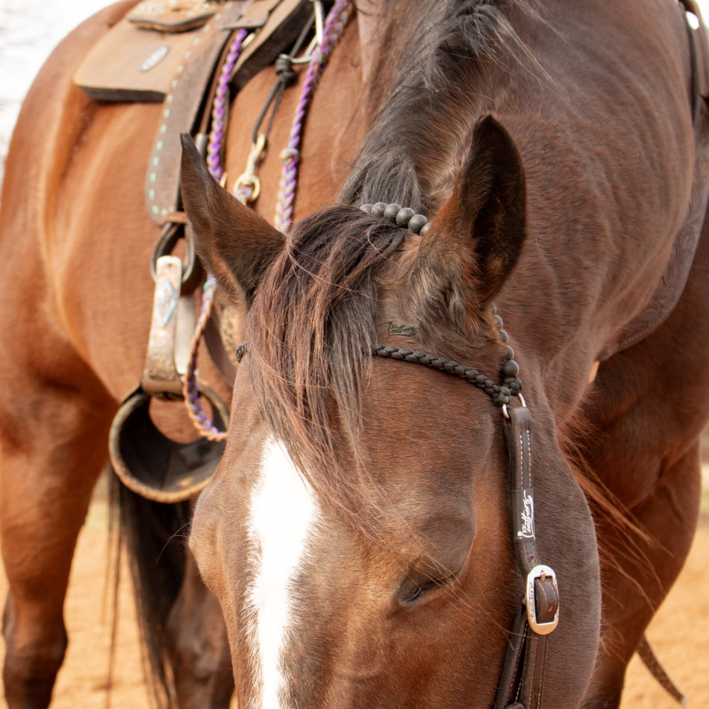 *Limited Edition* KK Leathers Combo Tack Pack