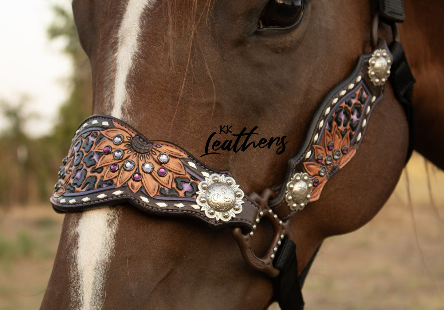 Purple Power Leopard Sunflower 3 Piece Bronc Halter