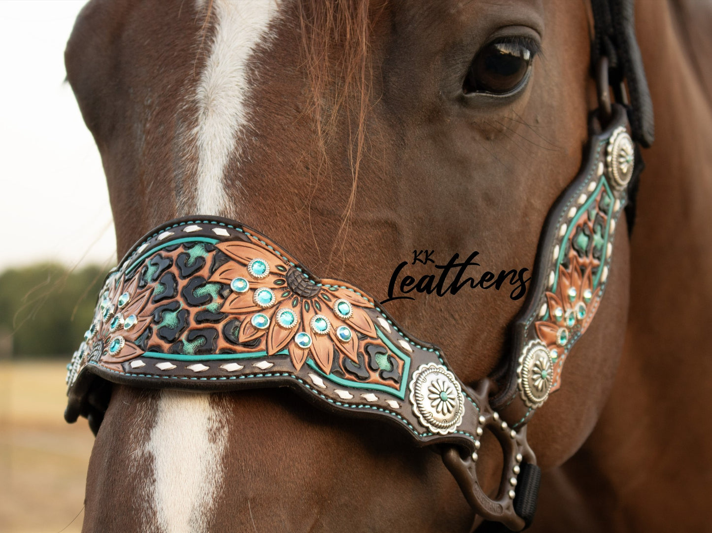 Timeless Turquoise Leopard Sunflower 3 Piece Bronc Halter