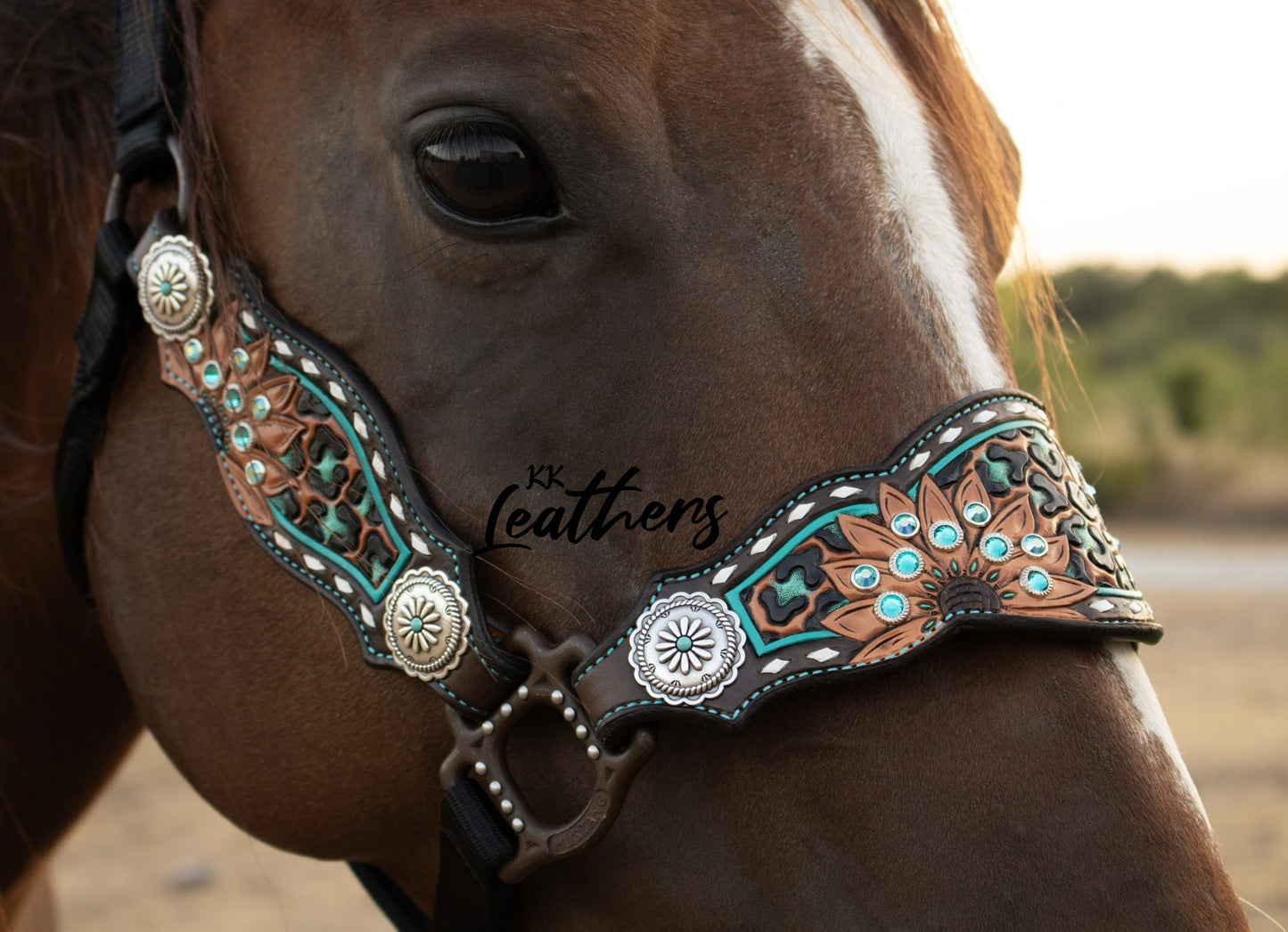 Timeless Turquoise Leopard Sunflower 3 Piece Bronc Halter