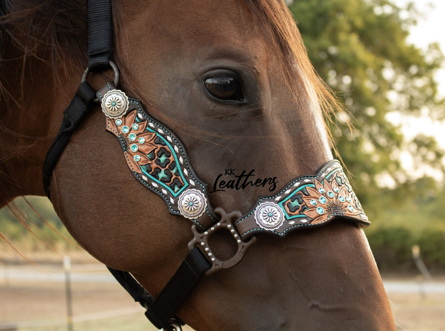 Timeless Turquoise Leopard Sunflower 3 Piece Bronc Halter