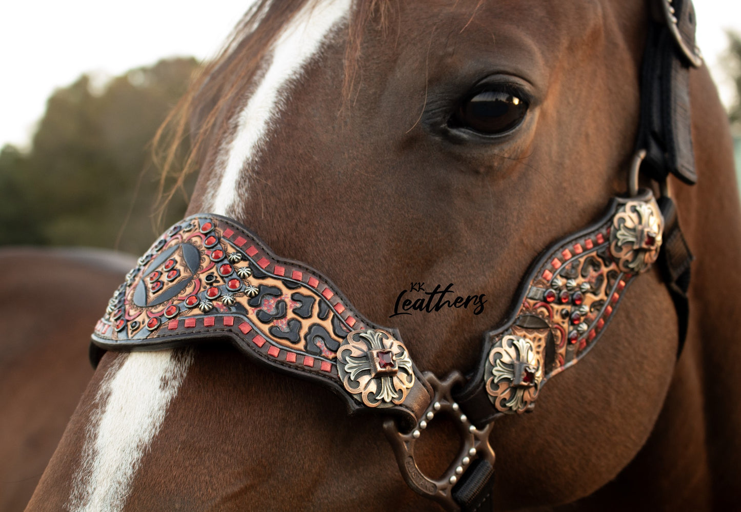 Rebel Red Leopard 3 Piece Bronc Halter