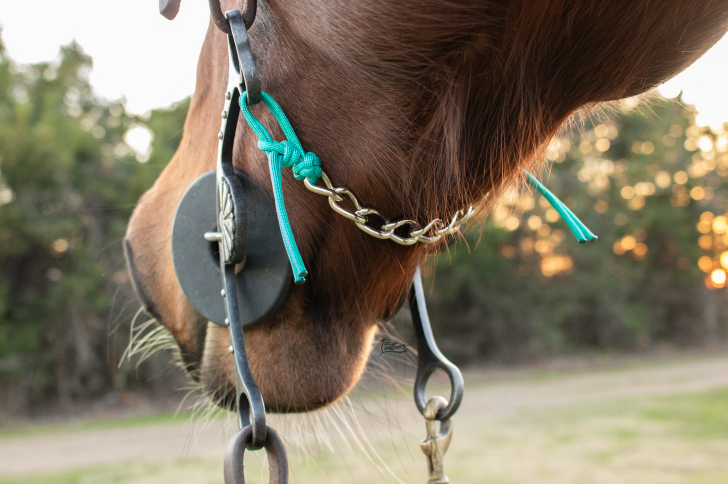 Seafoam Turquoise 8 Link Gag Curb Chain