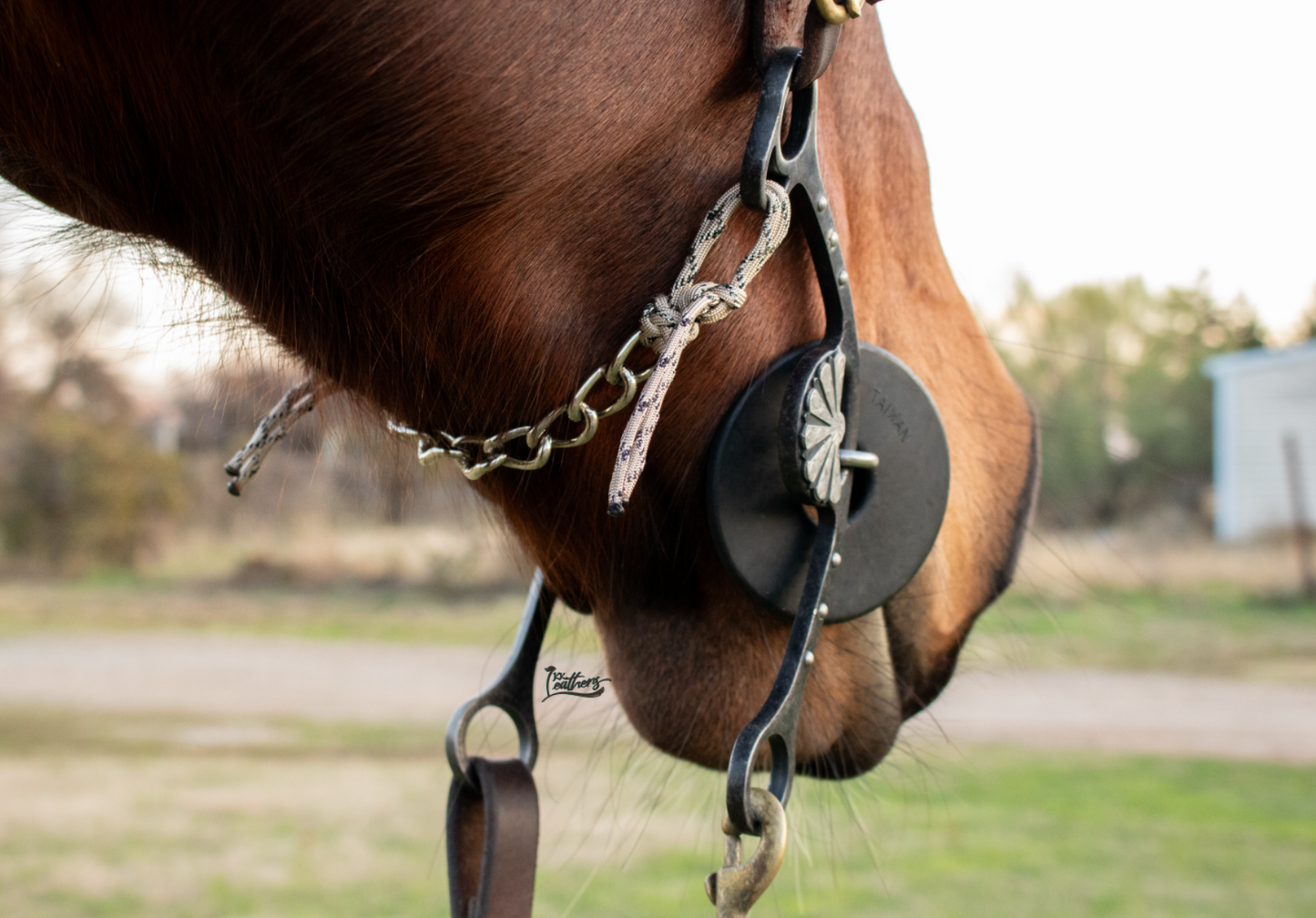Champagne Metallic 8 Link Gag Curb Chain