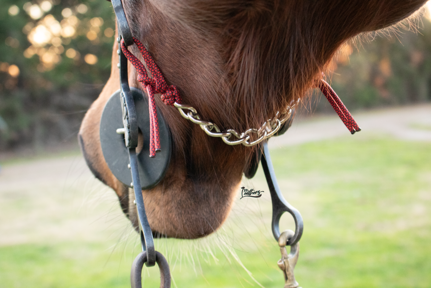 Red Black Diamond 8 Link Gag Curb Chain