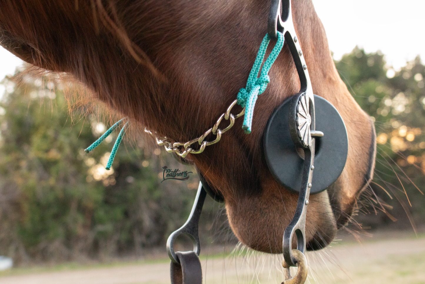 Turquoise Teal Diamond 8 Link Gag Curb Chain
