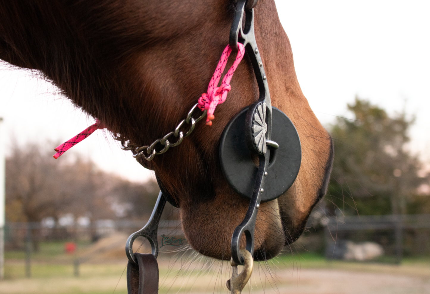 Neon Pink Black Pin Stripe 8 Link Gag Curb Chain