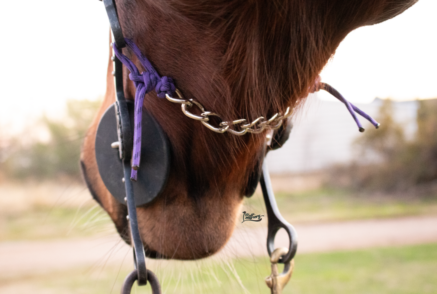 Purple Black Pin Stripe 8 Link Gag Curb Chain
