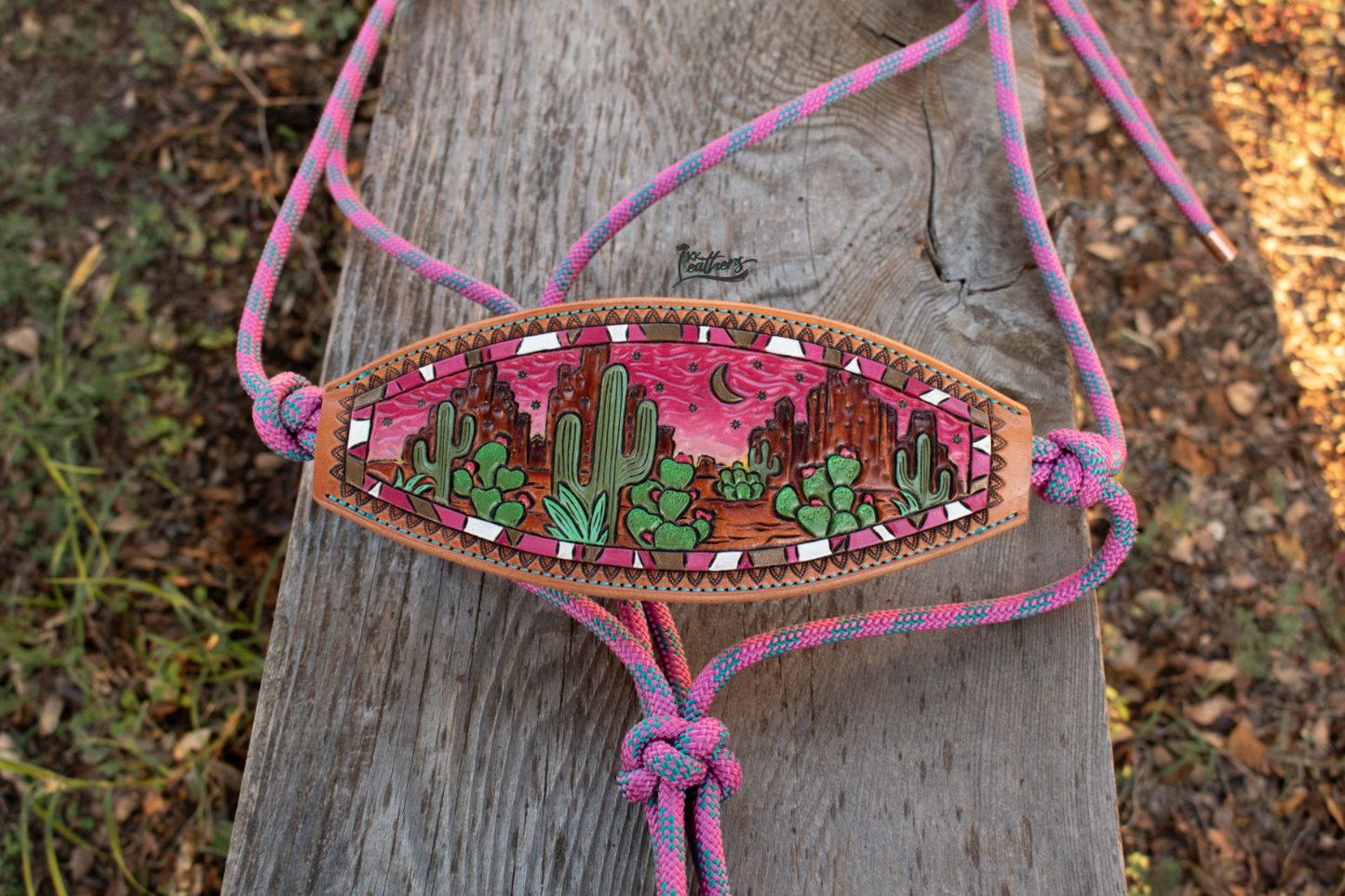 Pink Desert Dweller Rope Bronc Halter