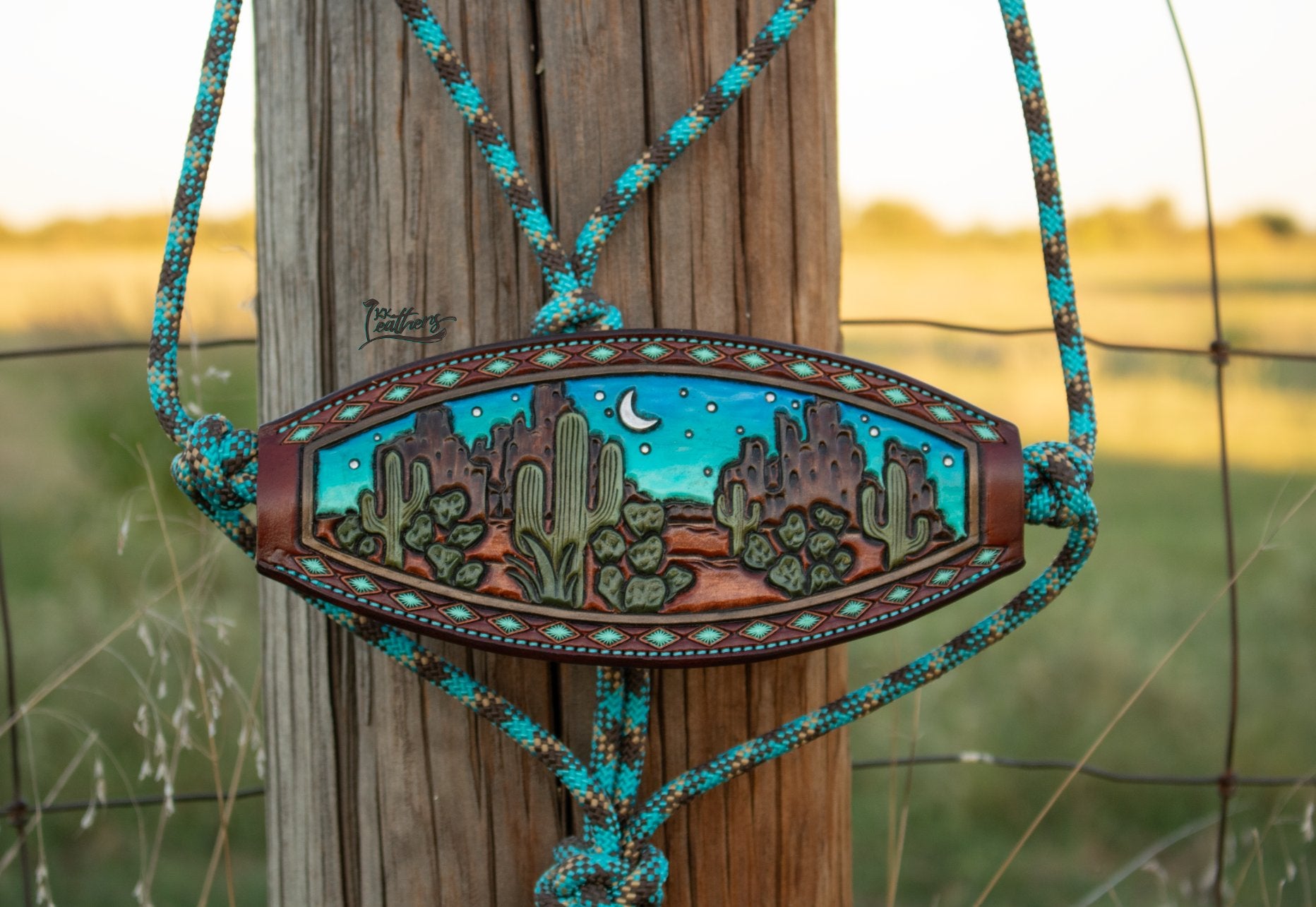 Rope Bronc Halters – tagged