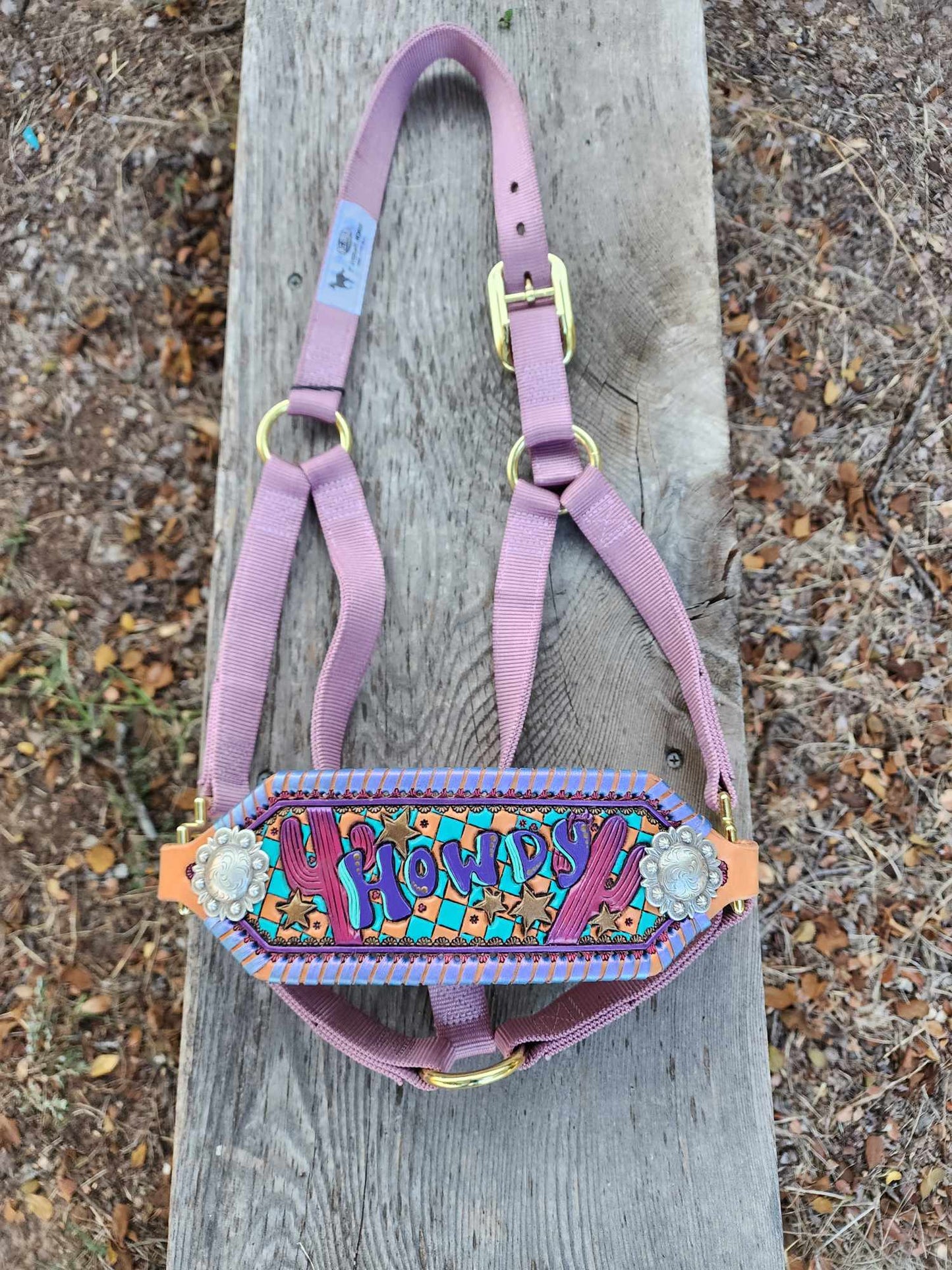 Retro Howdy Cactus Lavender Bronc Halter