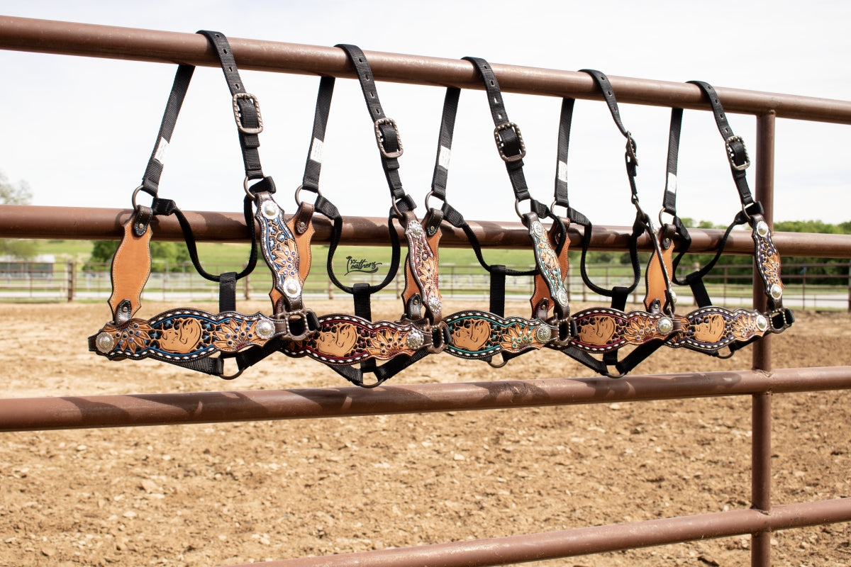 Custom Bronc Halter Award Order