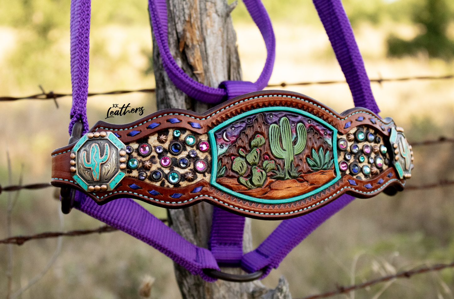 Cactus Desert Bronc Halter