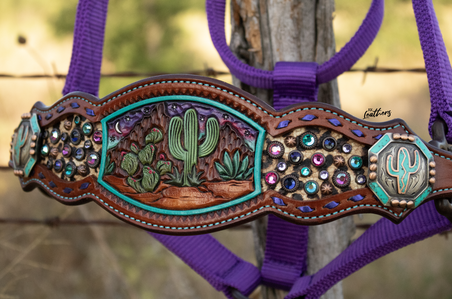 Cactus Desert Bronc Halter