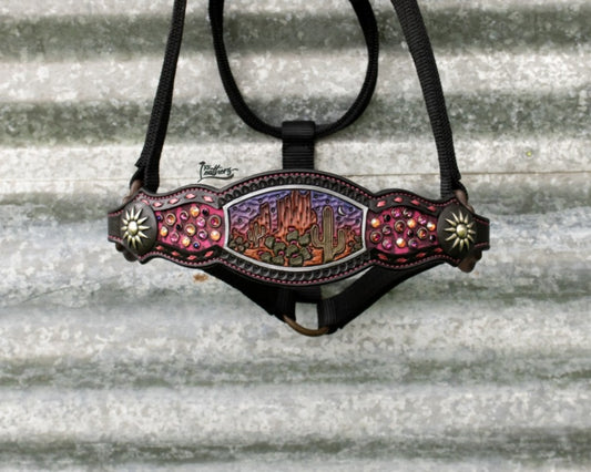 Sunset Desert Dweller Bronc Halter