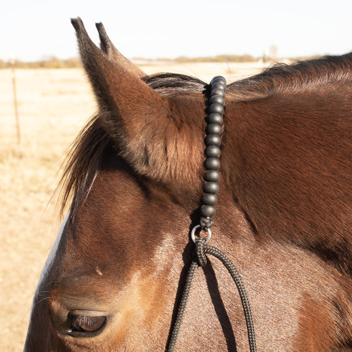 Solid Colors Silicone Beaded Draw Bit Headstall