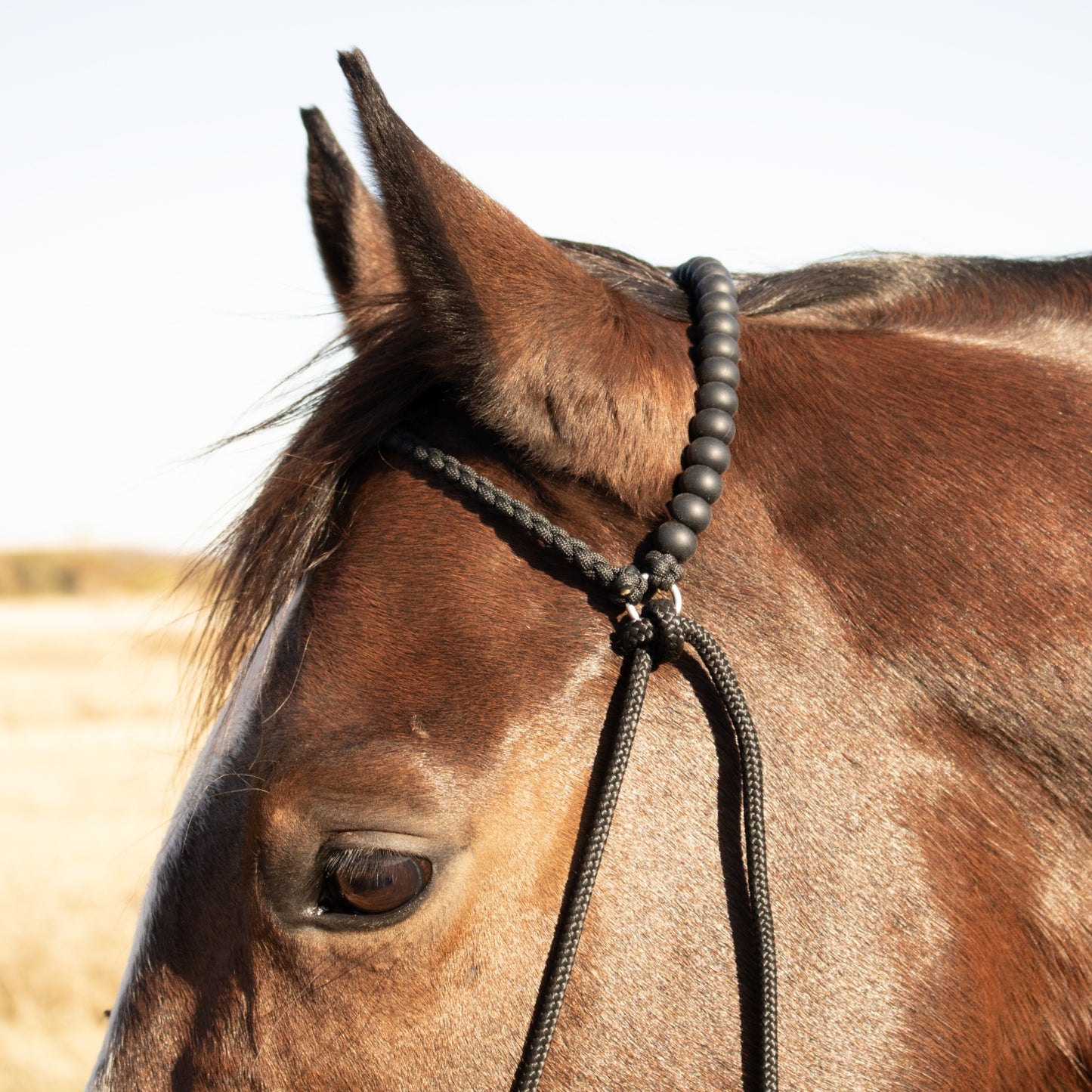 Black Silicone Beaded Draw Bit Headstall