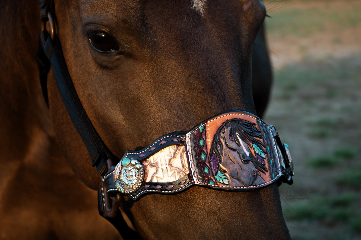 Wild Horses Buckstitched Bronc Halter