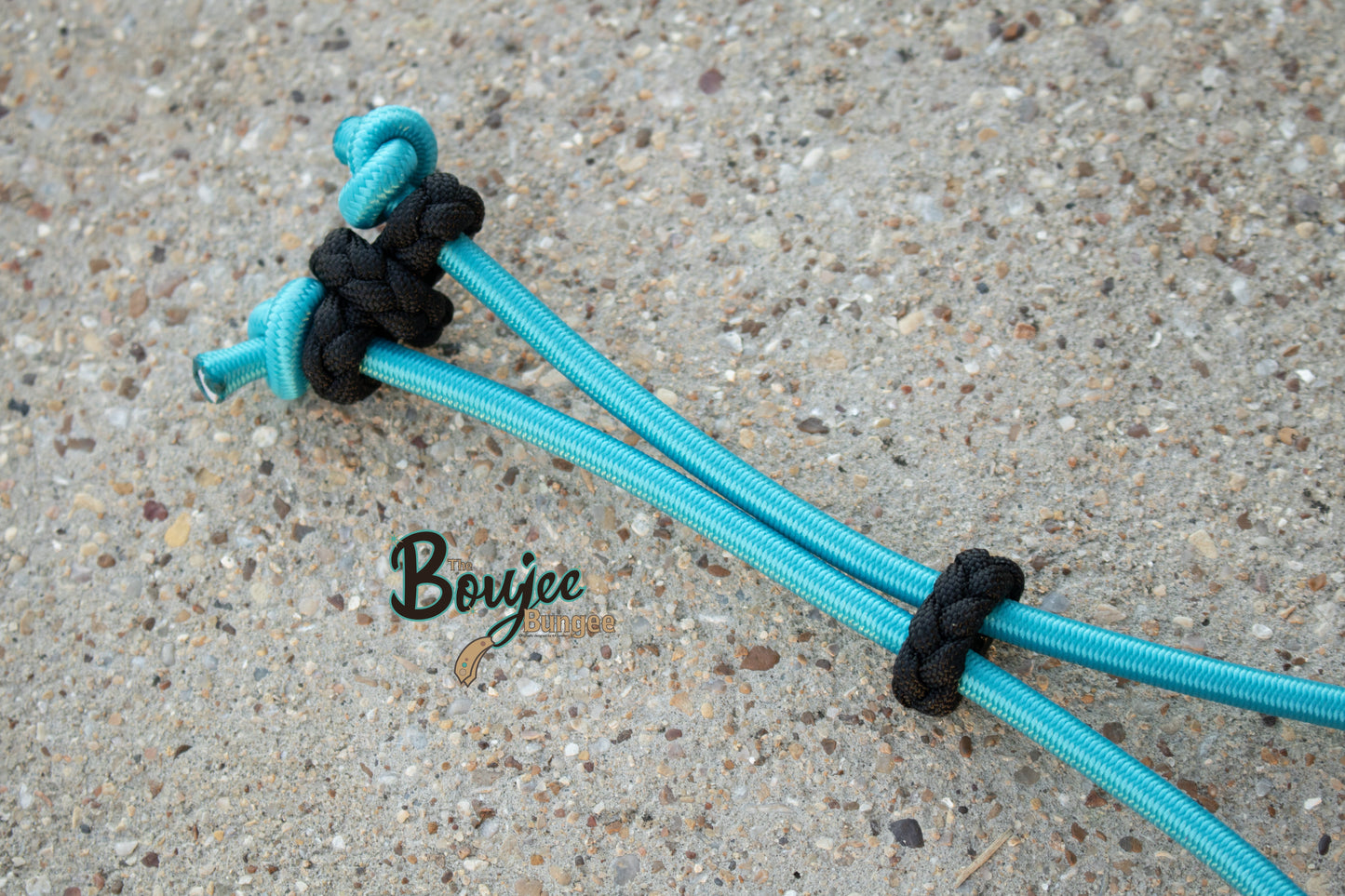 Turquoise Chocolate Elephant Boujee Bungee Bridle and Rope Strap