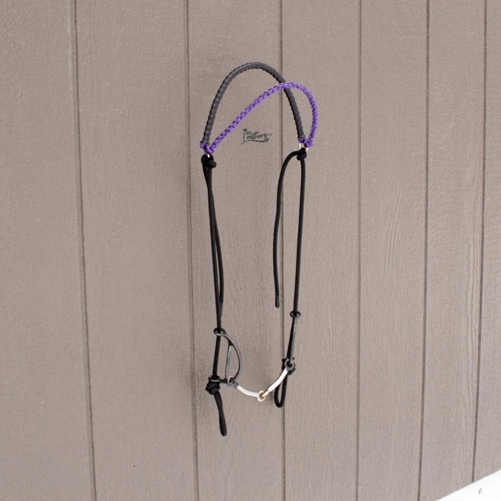 Purple Weighted Draw Bit Browband Headstall