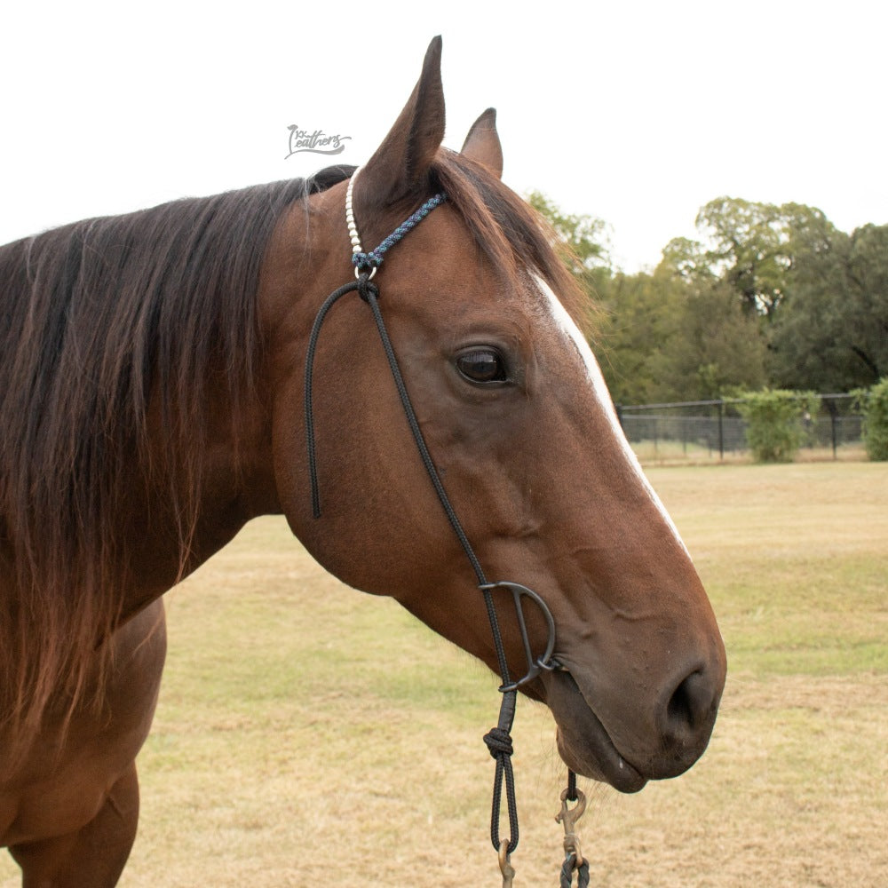 Stainless Steel Beaded Paracord Browband Draw Bit Headstall