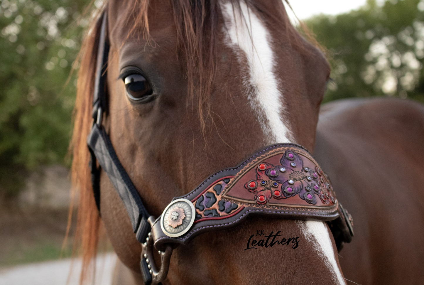 Rustic Red and Purple Leopard Floral Bronc Halter