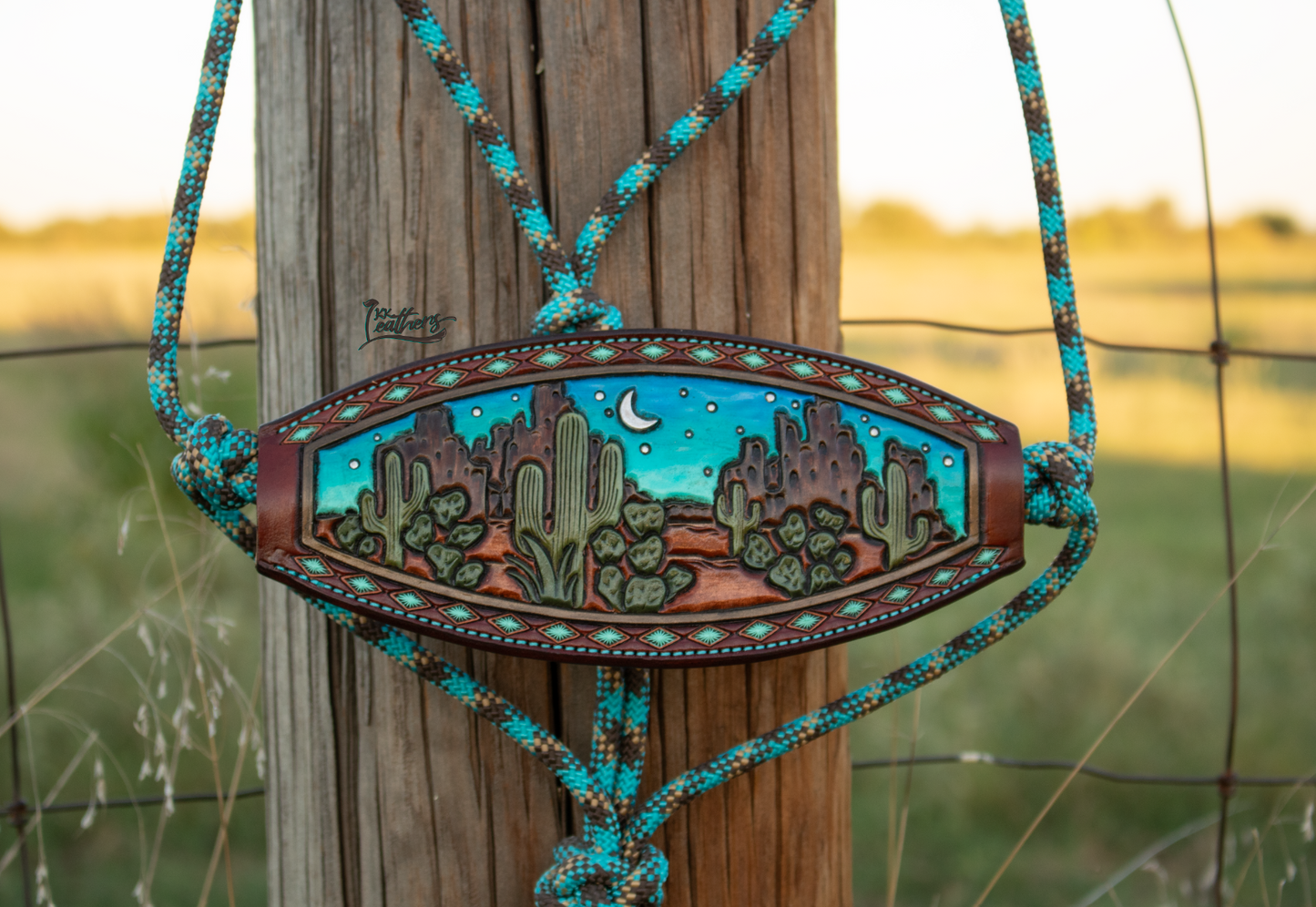 Turquoise Desert Dweller Rope Bronc Halter