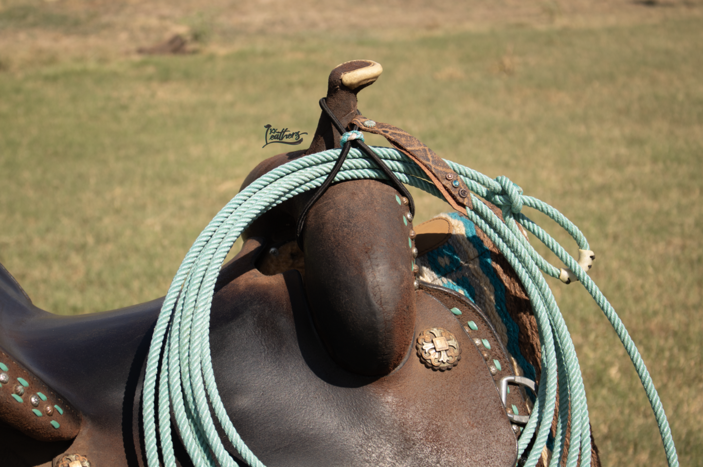 Black Chocolate Elephant Boujee Bungee Bridle and Rope Strap