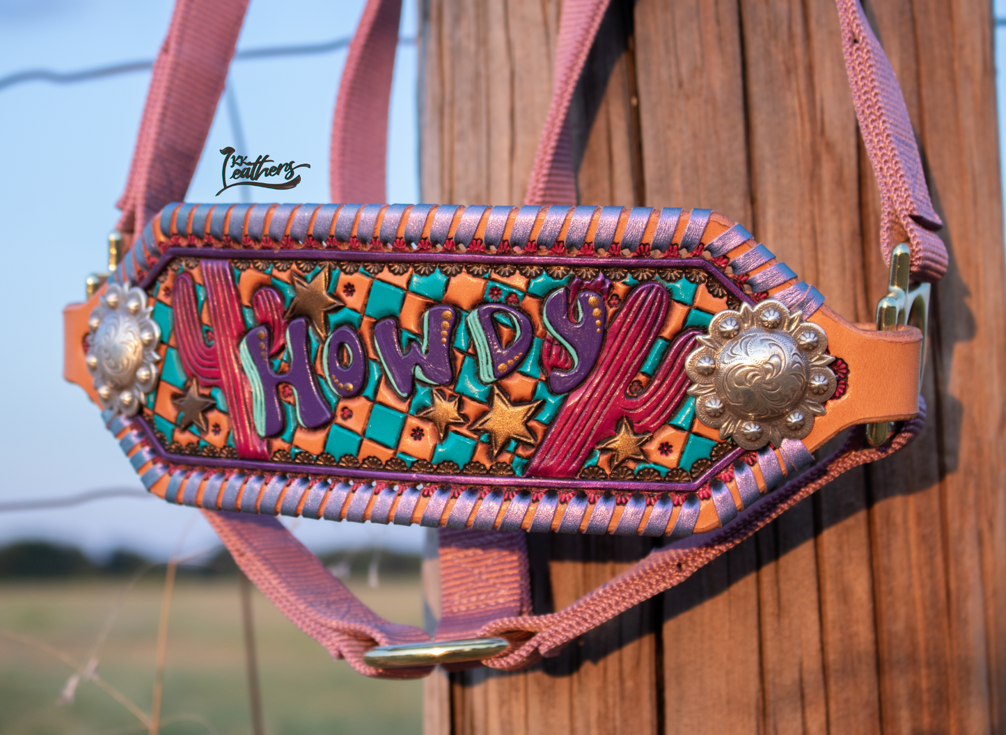 Retro Howdy Cactus Lavender Bronc Halter