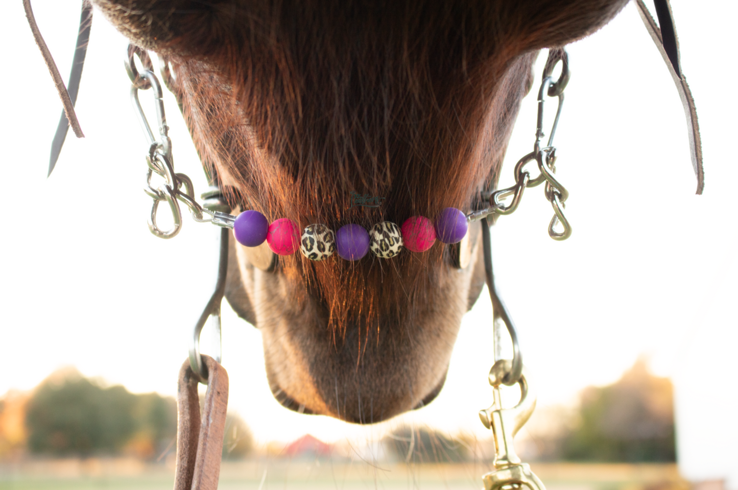 Grape Purple Hot Pink Crackle Leopard Silicone Beaded Chain Curb Strap